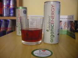 scheckter-s-organic-energy-drink-lites